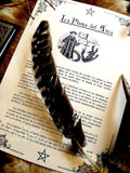 Pluma del Auca