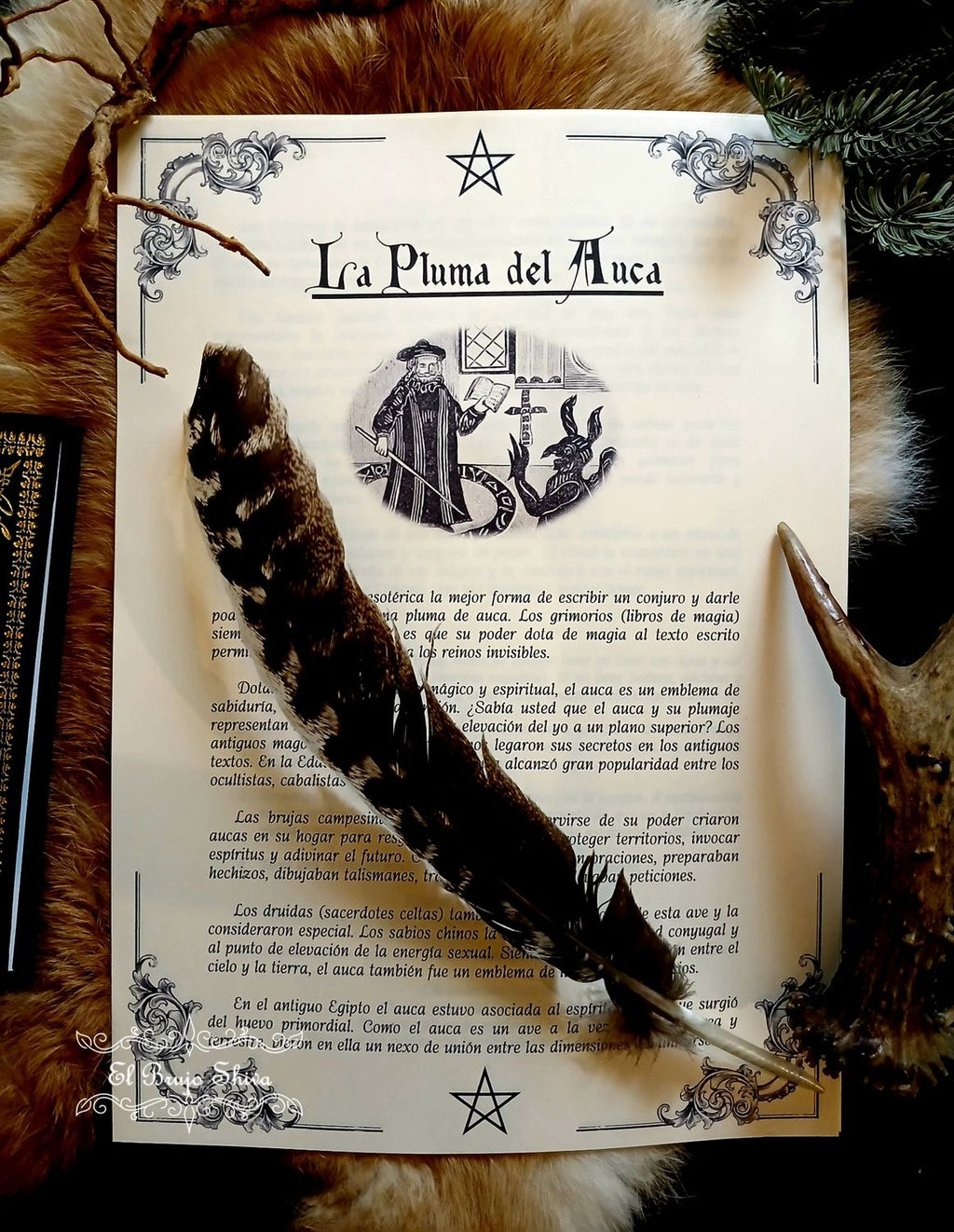 Pluma del Auca