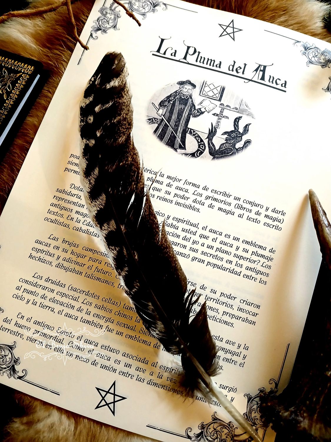 Pluma del Auca