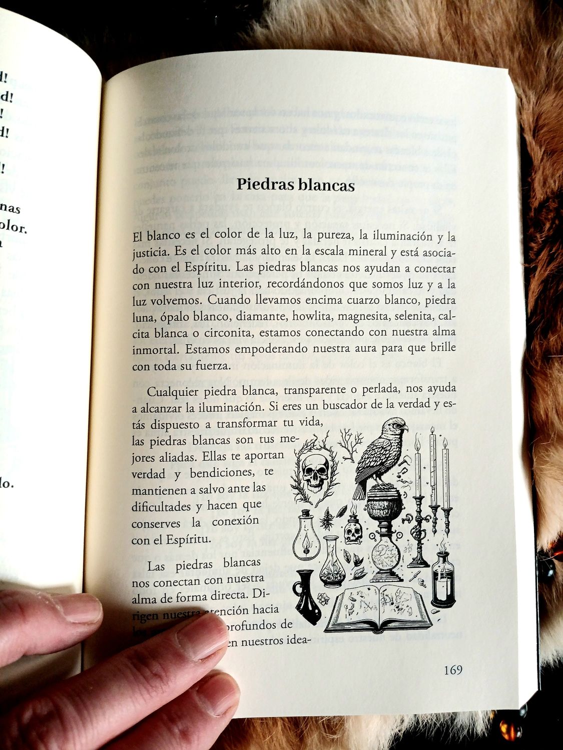 El Oráculo Lítico