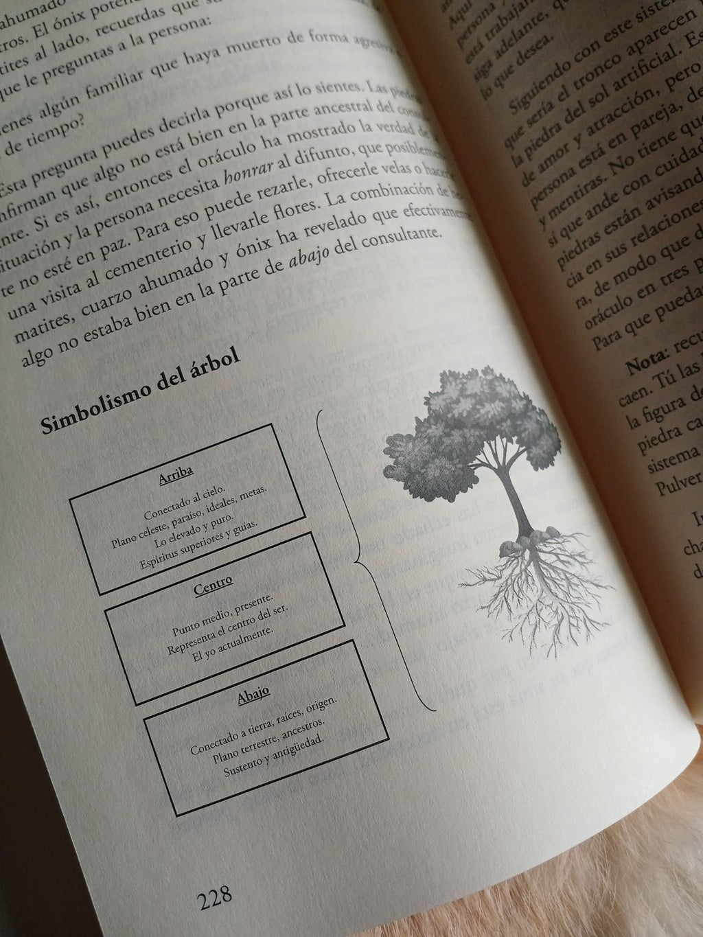 El Oráculo Lítico