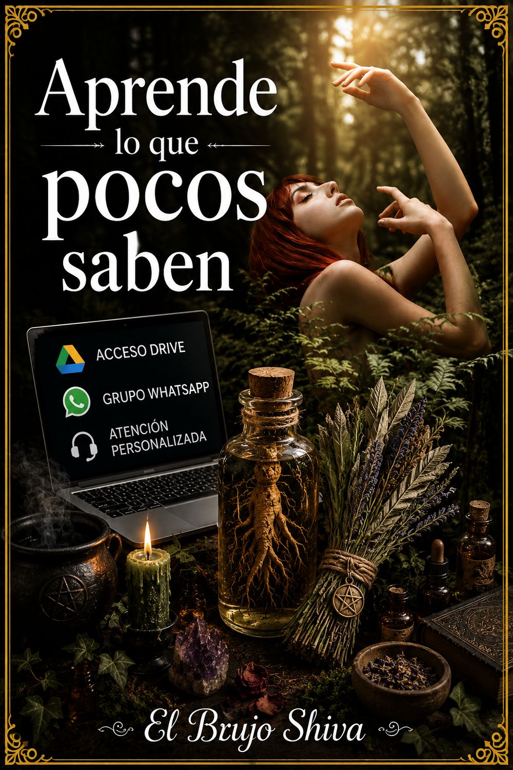 Magia Verde 6º